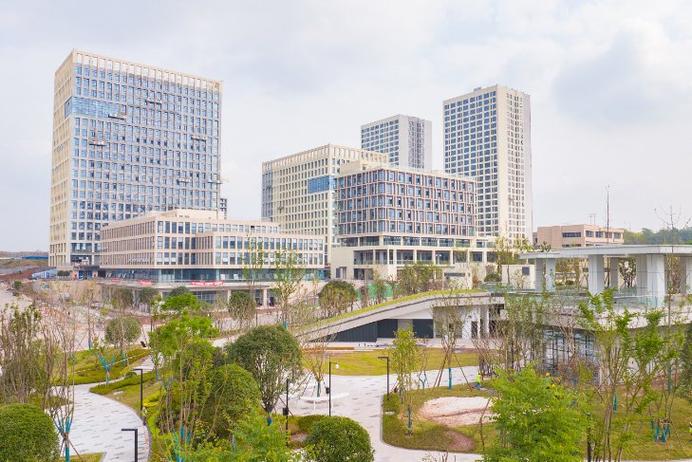 内江软件与信息技术服务外包产业园D区 数字化浪潮中的服务新引擎